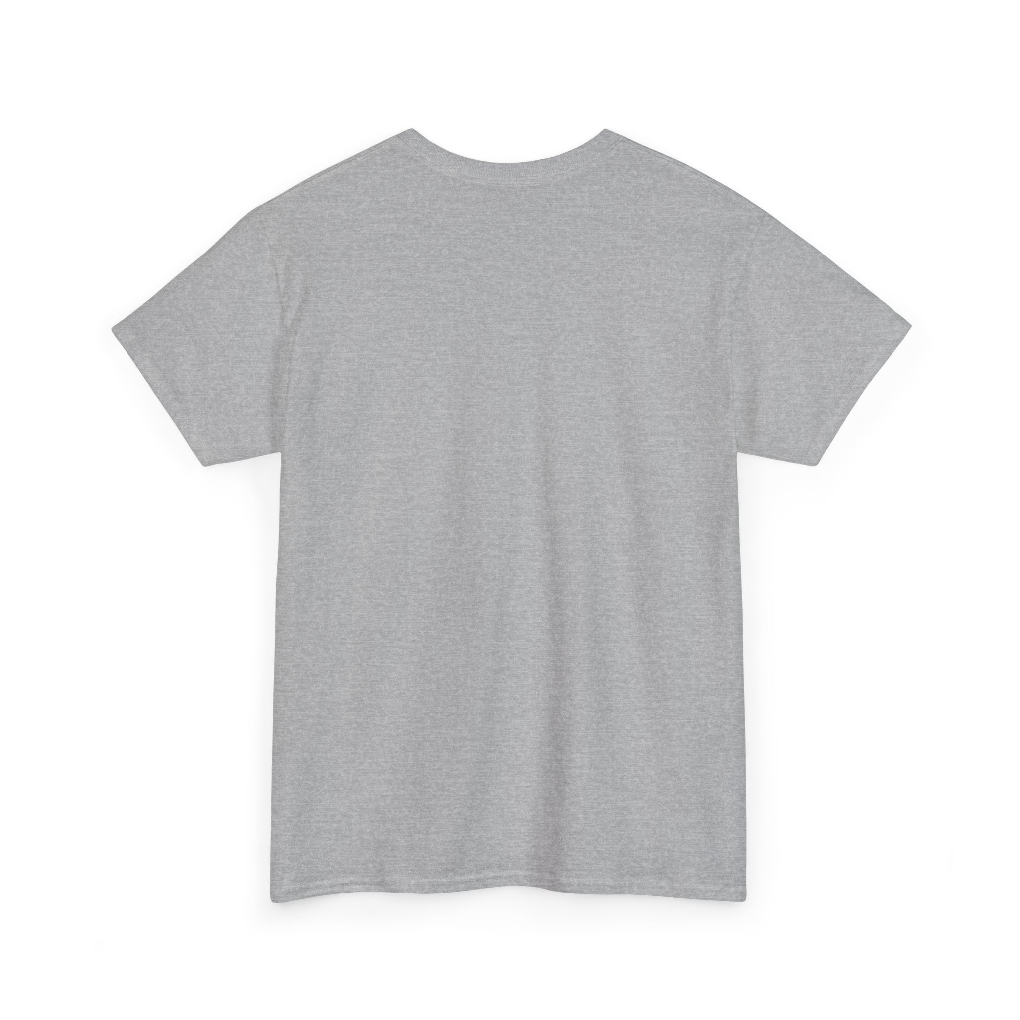 Shamelez Unisex Heavy Cotton Tee