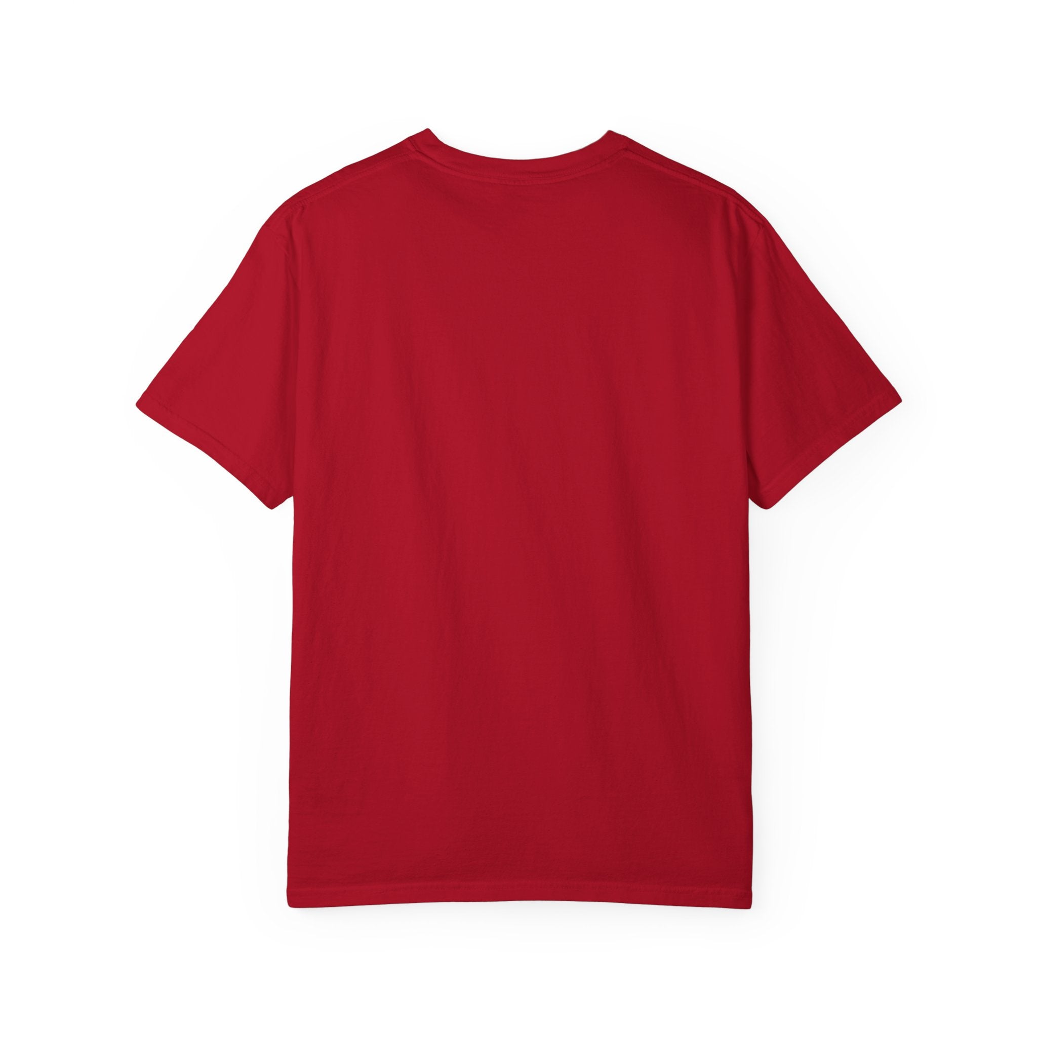 Stay Shamelez Unisex Garment-Dyed T-Shirt