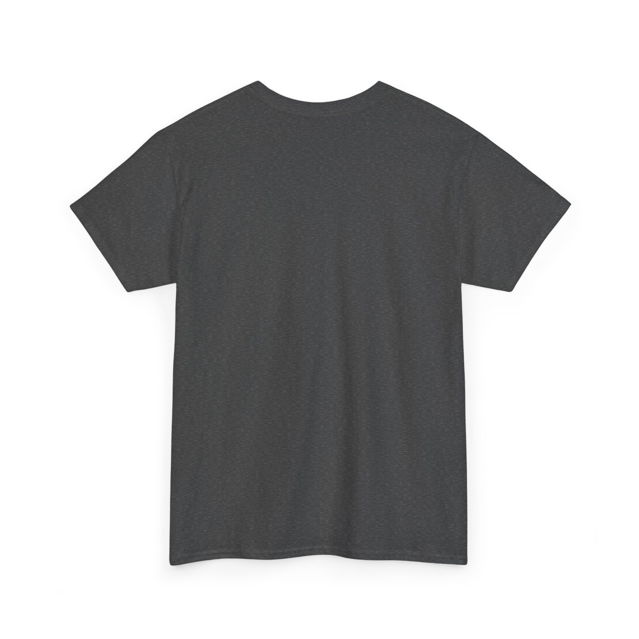 Shamelez Unisex Heavy Cotton Tee