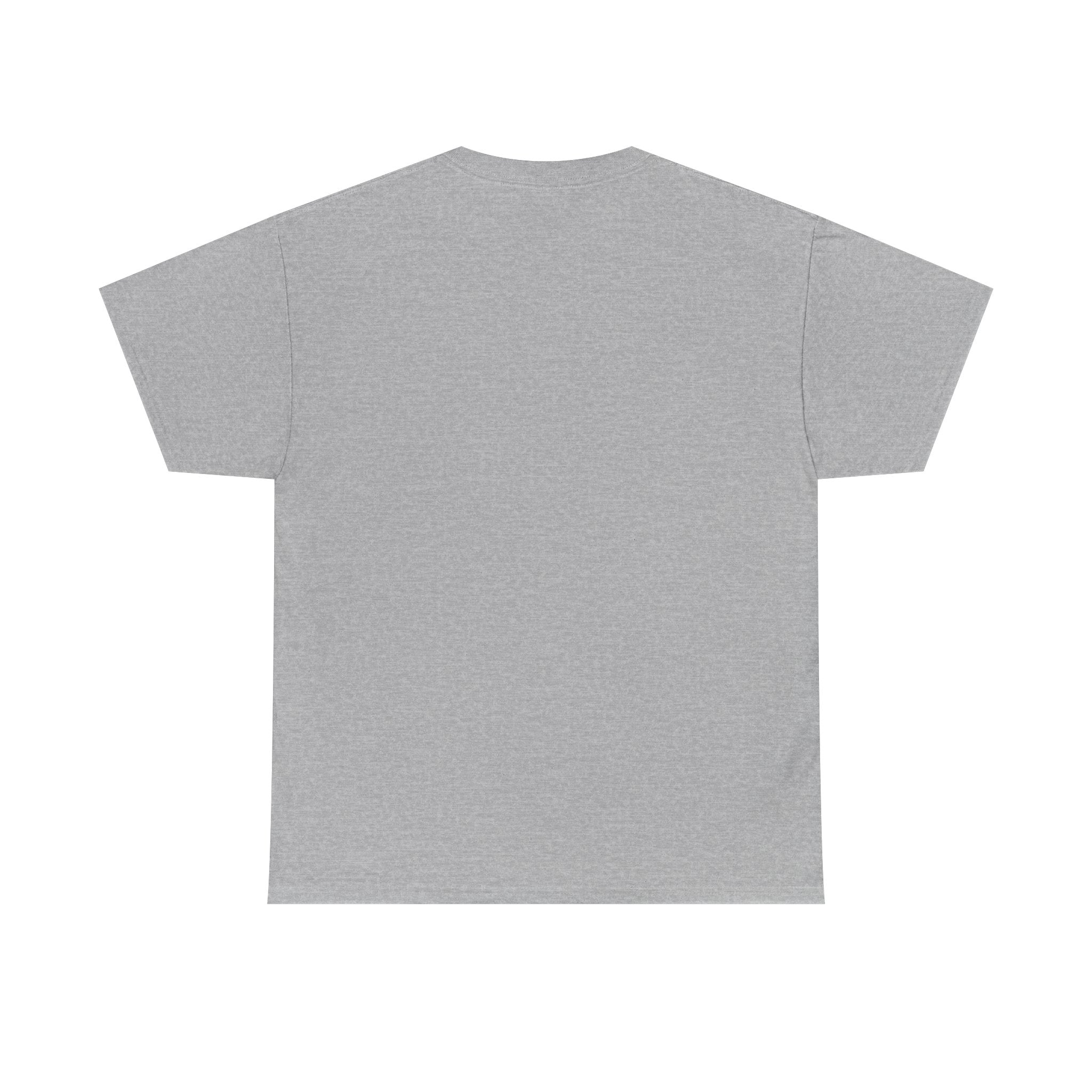 Shamelez Unisex Heavy Cotton Tee