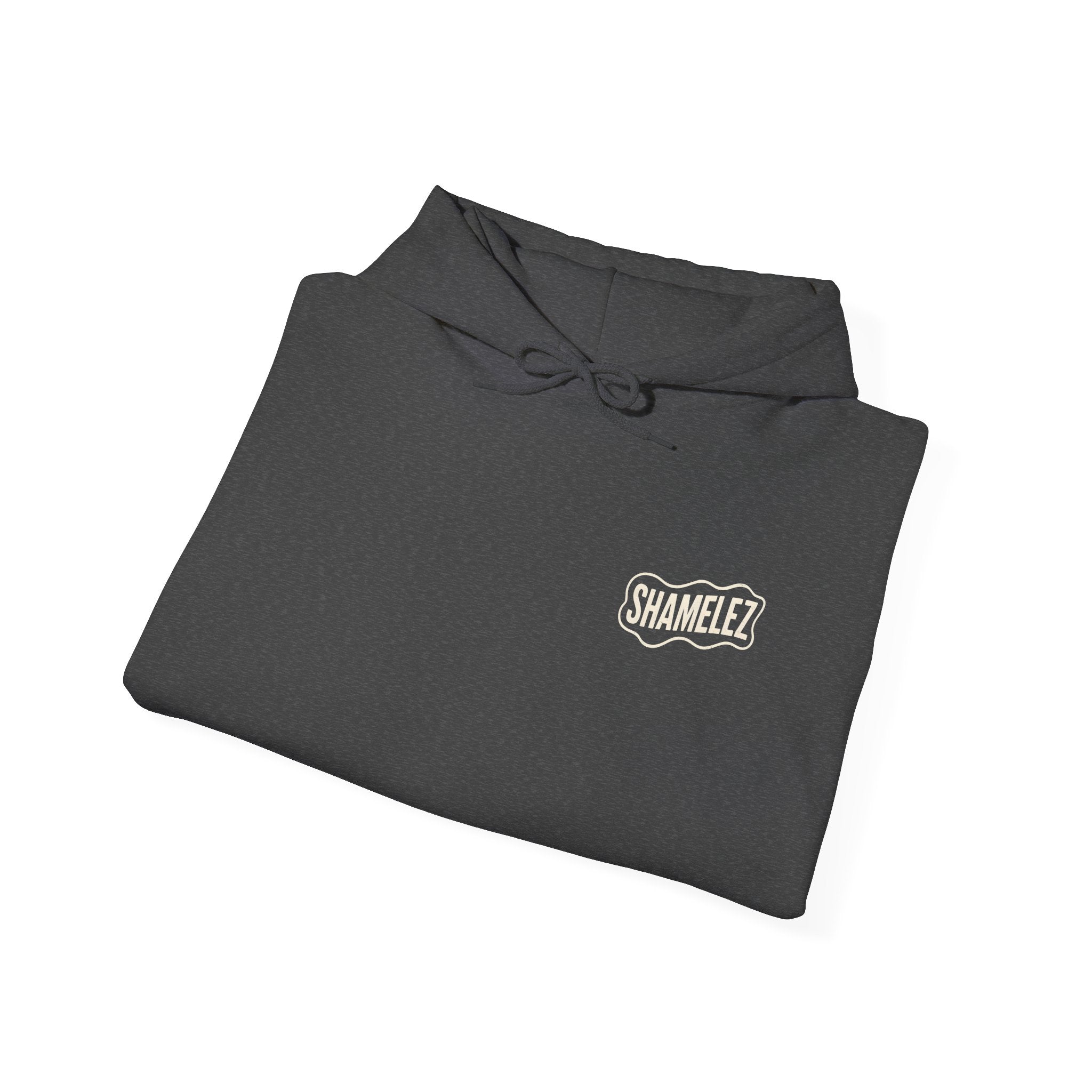Comfortable Unisex Hoodie -  Shamelez Version 2