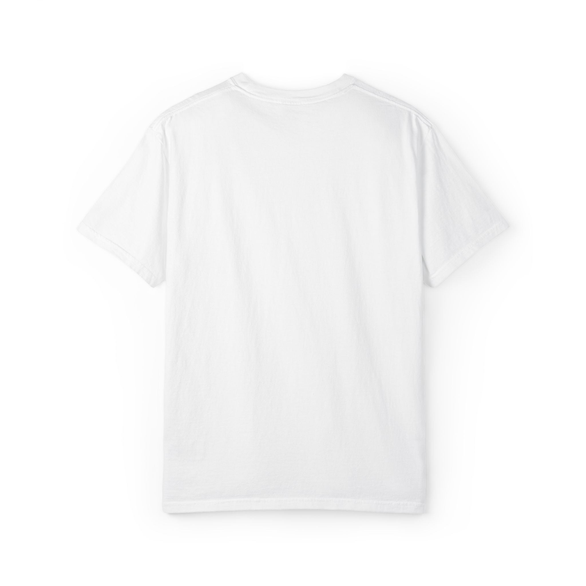 Moin Digga Rainbow Duck - Unisex Garment-Dyed T-shirt