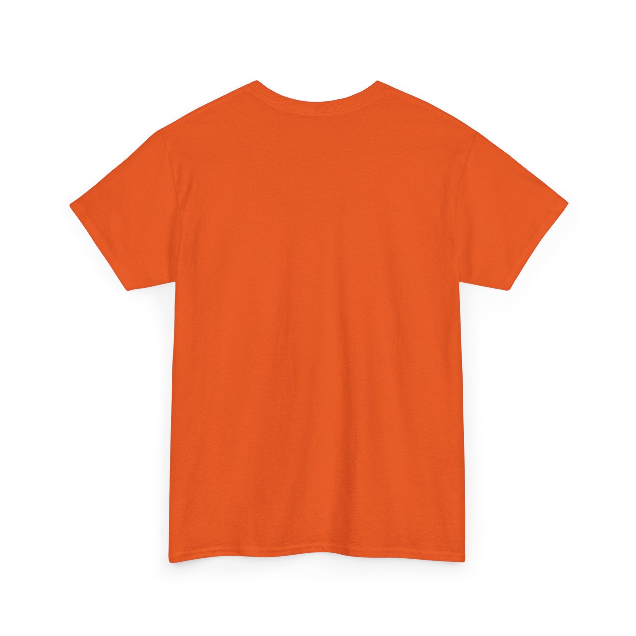 Shamelez Unisex Heavy Cotton Tee