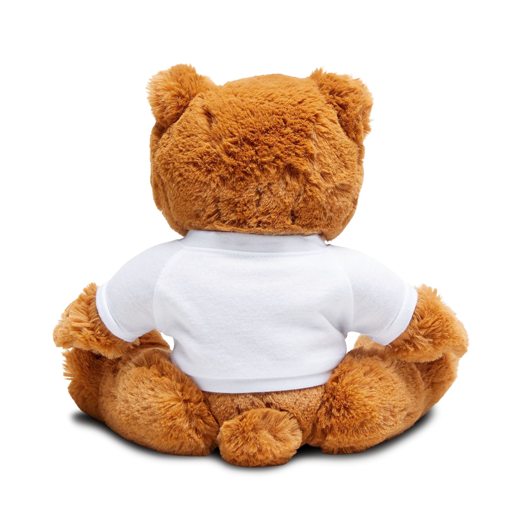 Magical Teddy Bear with T-Shirt, Unwrap the Magic Gift, Cute Plush Toy