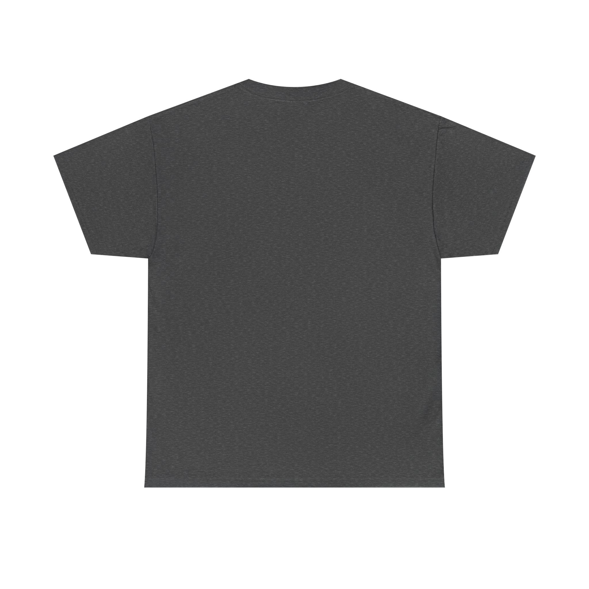 Shamelez Unisex Heavy Cotton Tee