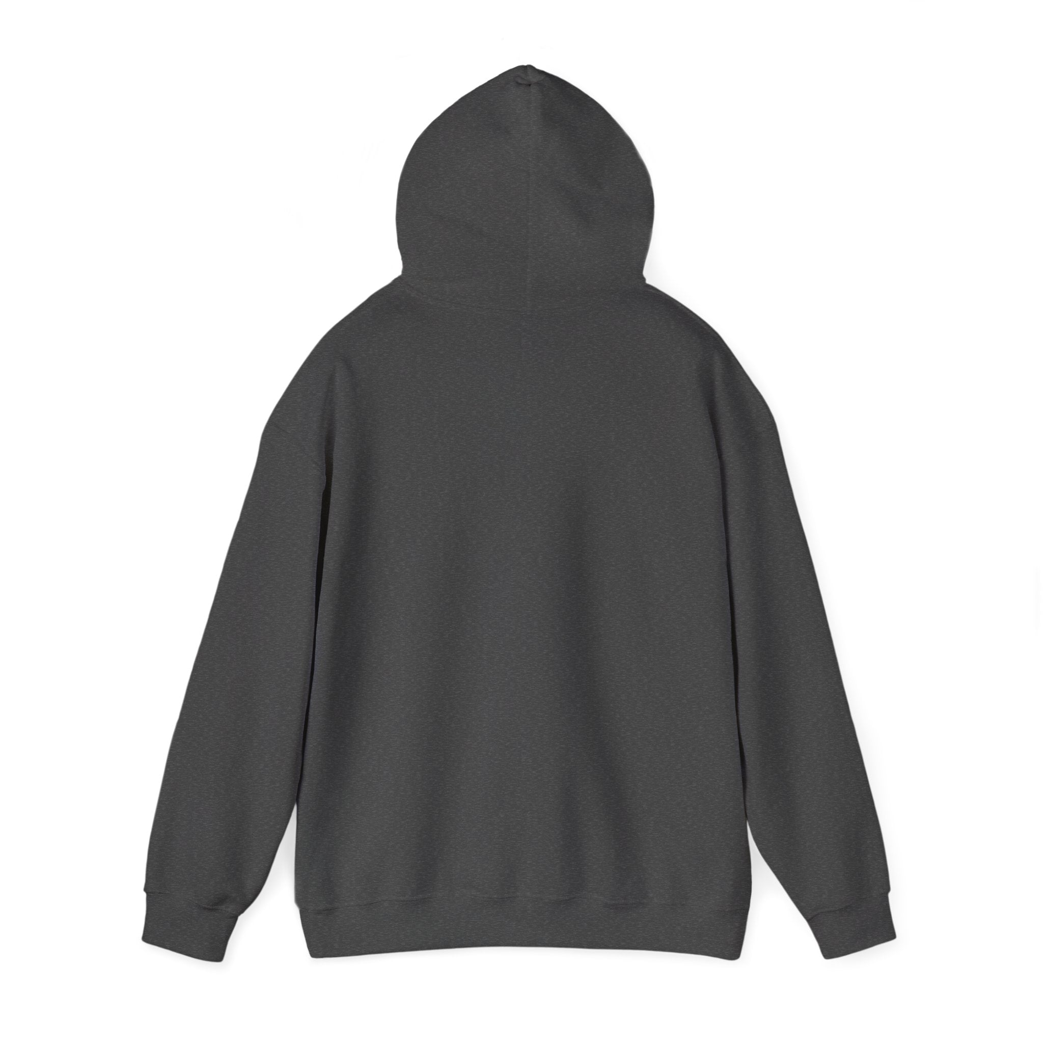 Comfortable Unisex Hoodie -  Shamelez Version 2