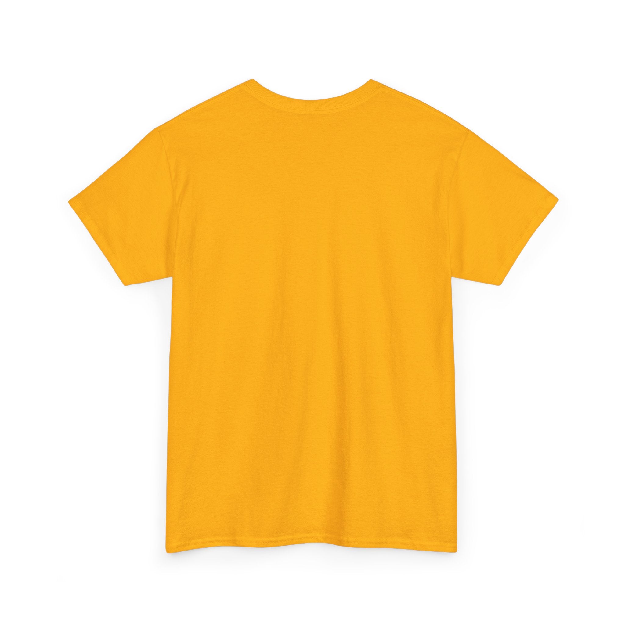 Shamelez Unisex Heavy Cotton Tee