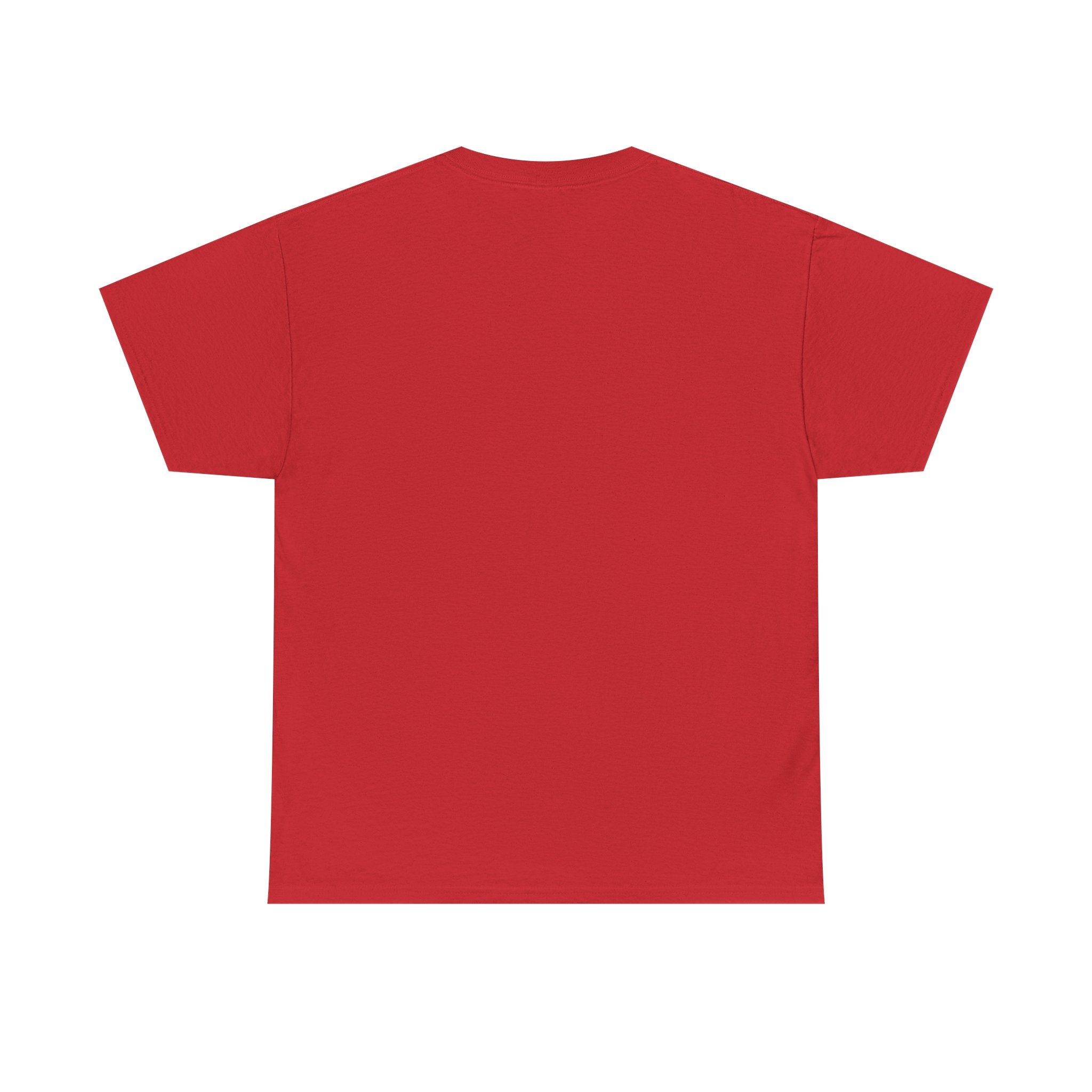 Shamelez Unisex Heavy Cotton Tee