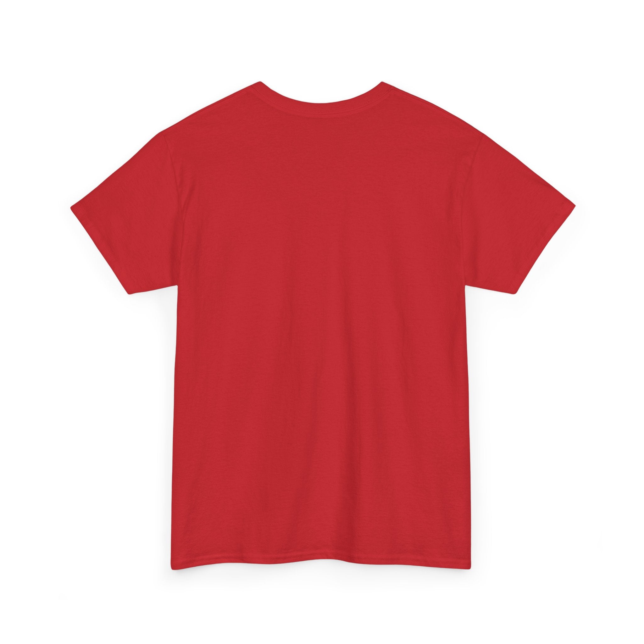 Shamelez Unisex Heavy Cotton Tee